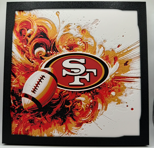 an Francisco 49ers 3D Print Artwork